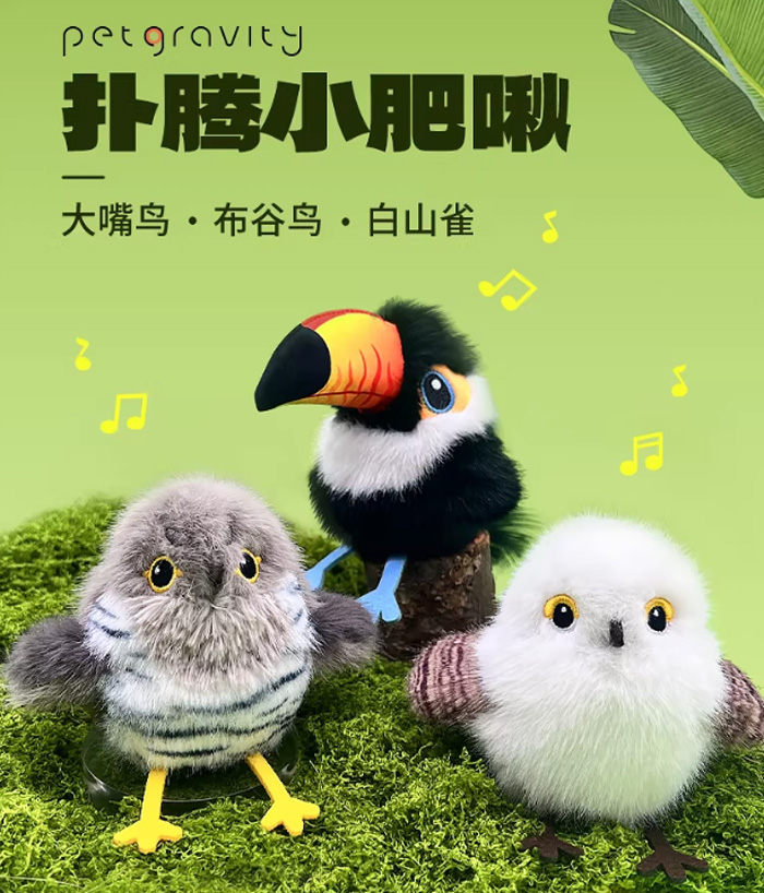 这只会扑腾的小肥啾,让猫咪嗨到停不下来