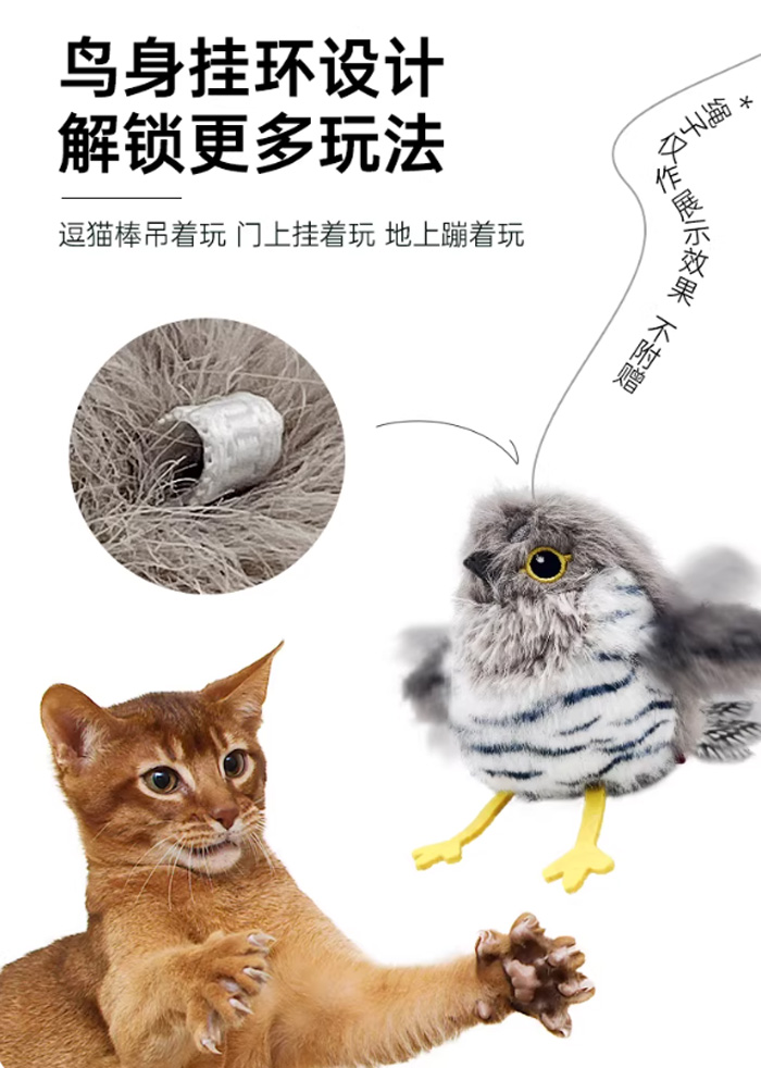 这只会扑腾的小肥啾,让猫咪嗨到停不下来