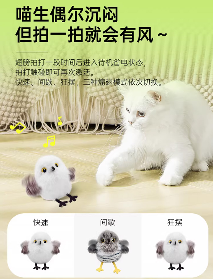 这只会扑腾的小肥啾,让猫咪嗨到停不下来