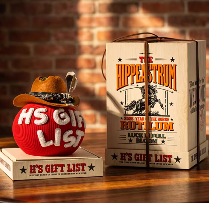 秘鲁朱顶红-交响曲「鸿运当头」摆件：让生活绽放幸运与美好的神奇之花 