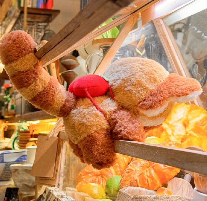 被这只小熊猫玩偶治愈了！软萌到心巴的礼物首选 