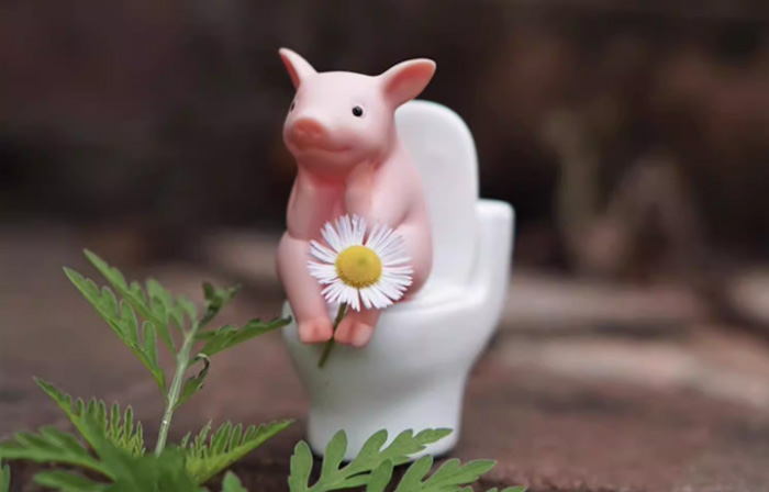 可爱马桶猪摆件厕所新搭子 卫生间装饰创意小摆件