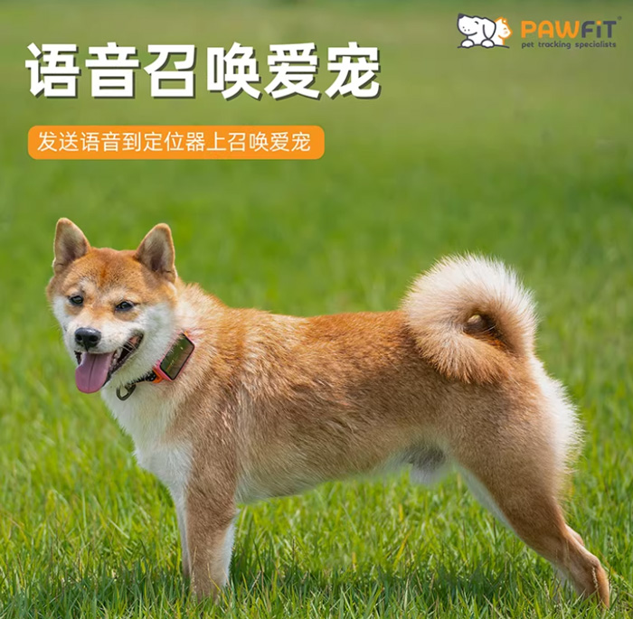 英国PAWFIT宠物定位器狗猫咪防丢语音召回gps追踪 