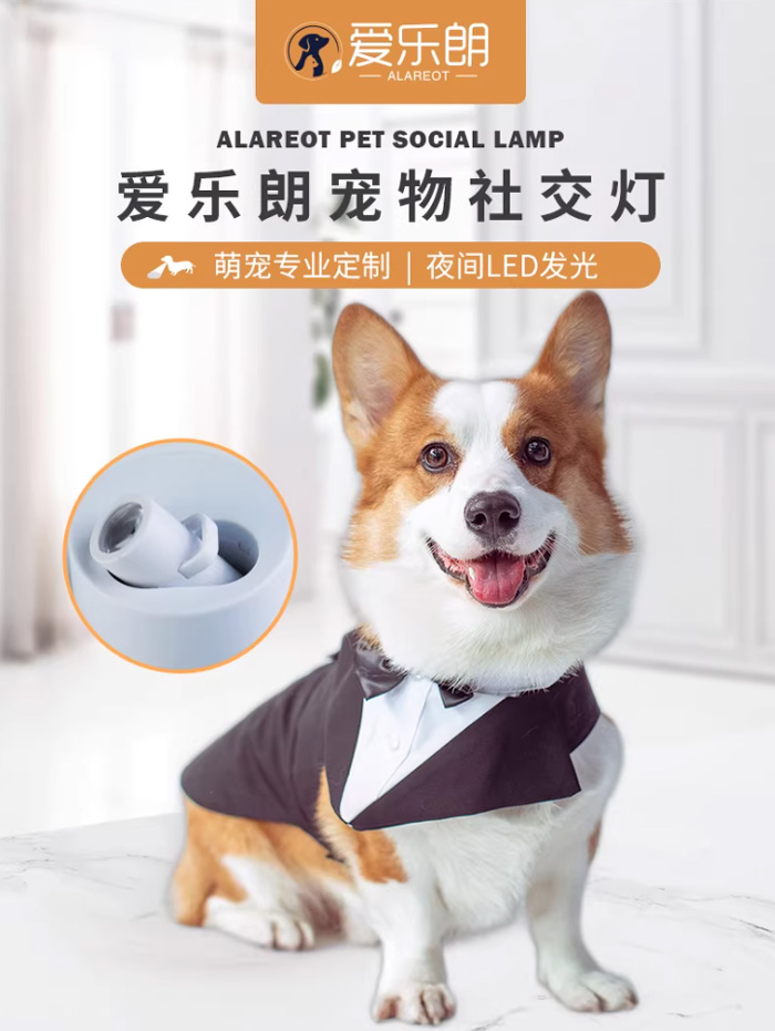 宠物社交灯 宠物挂牌LED夜溜神器