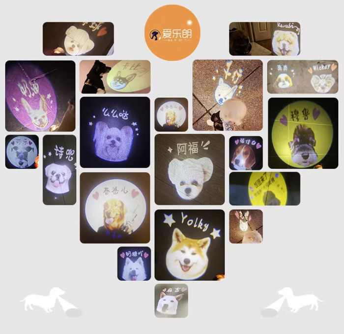 宠物社交灯 宠物挂牌LED夜溜神器