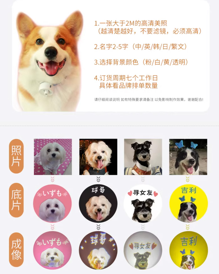 宠物社交灯 宠物挂牌LED夜溜神器