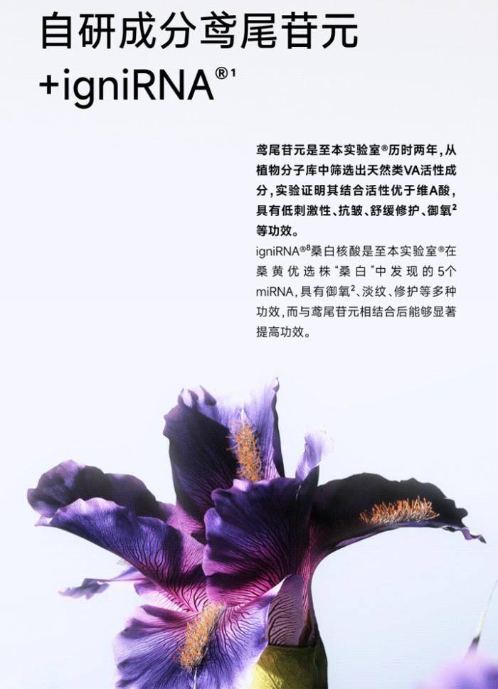 至本焕时新肌精粹乳紧致抗皱淡纹御氧糖鸢尾乳液