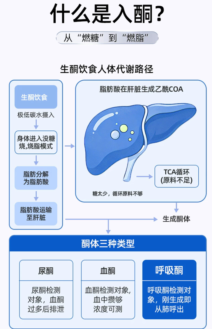 安友泽瑞智能燃脂生酮呼气检测仪 学管理生酮数据化生酮AI助手